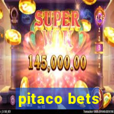 pitaco bets